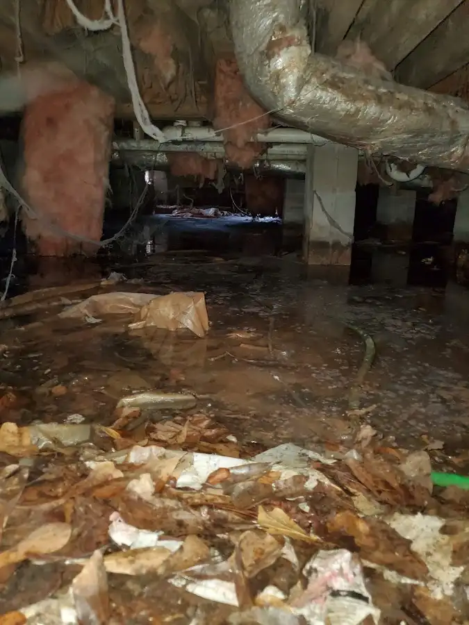 Crawl space flood assessment for Leak Detection & Repair in Roselle