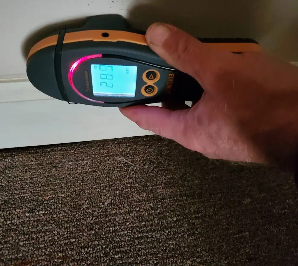 Moisture detection at baseboard during Sewage Cleanup & Sanitation in Roselle